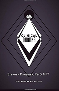 Clinical_Dharma_Book_Dr._Stephen_Dansiger